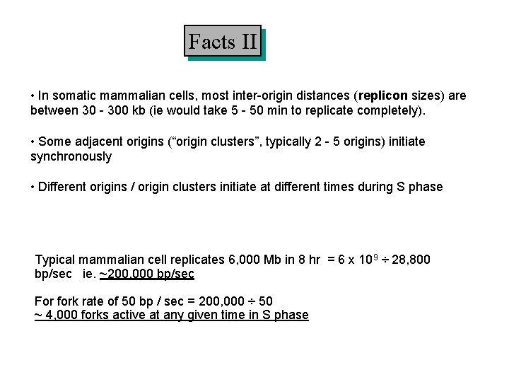 Facts II • In somatic mammalian cells, most inter-origin distances (replicon sizes) are between