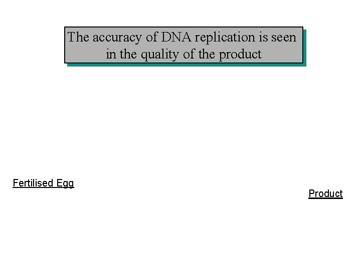 The accuracy of DNA replication is seen in the quality of the product Fertilised