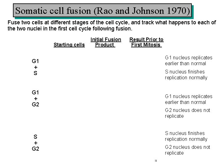 Somatic cell fusion (Rao and Johnson 1970) Fuse two cells at different stages of