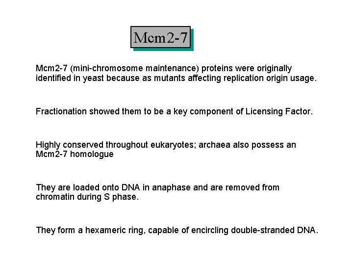 Mcm 2 -7 (mini-chromosome maintenance) proteins were originally identified in yeast because as mutants