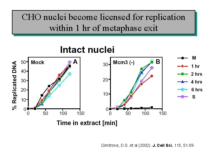 CHO nuclei become licensed for replication within 1 hr of metaphase exit Dimitrova, D.