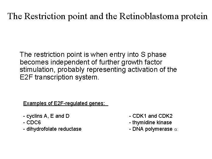 The Restriction point and the Retinoblastoma protein The restriction point is when entry into