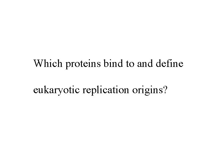 Which proteins bind to and define eukaryotic replication origins? 