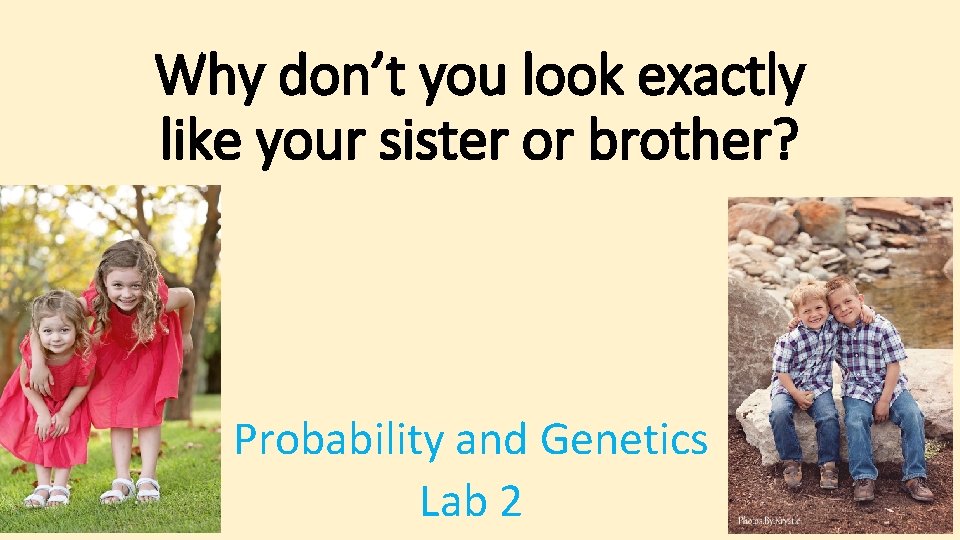 Why don’t you look exactly like your sister or brother? Probability and Genetics Lab