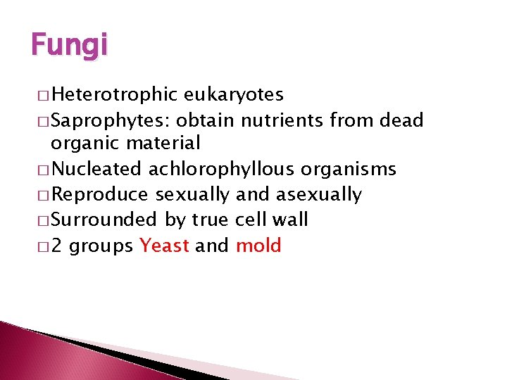 Fungi � Heterotrophic eukaryotes � Saprophytes: obtain nutrients from dead organic material � Nucleated