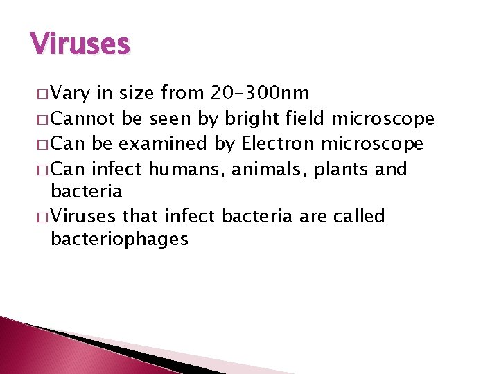 Viruses � Vary in size from 20 -300 nm � Cannot be seen by