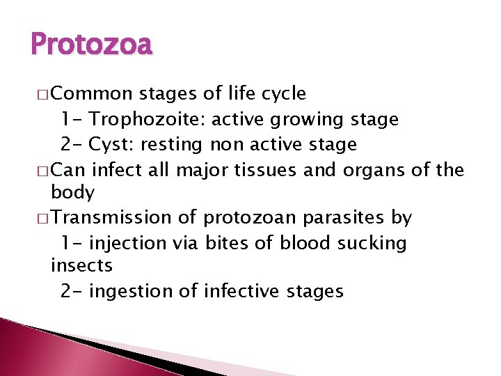 Protozoa � Common stages of life cycle 1 - Trophozoite: active growing stage 2