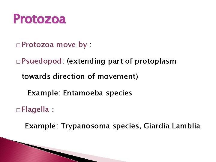 Protozoa � Protozoa move by : � Psuedopod: (extending part of protoplasm towards direction