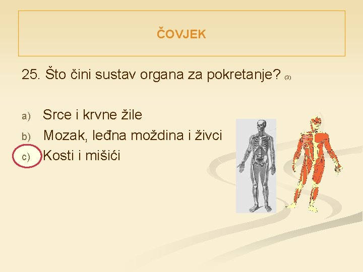 ČOVJEK 25. Što čini sustav organa za pokretanje? a) b) c) Srce i krvne