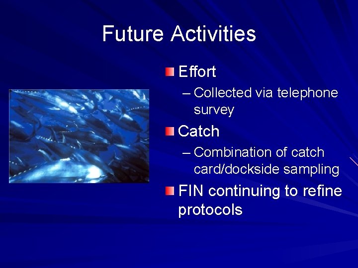 Future Activities Effort – Collected via telephone survey Catch – Combination of catch card/dockside