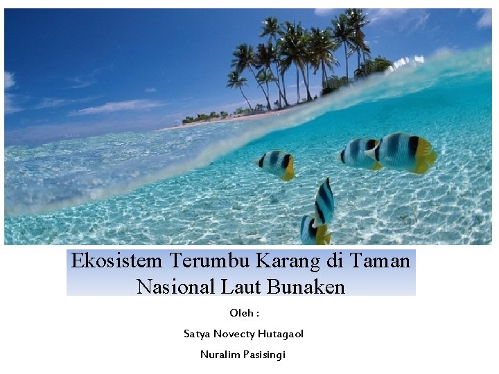 Ekosistem Terumbu Karang di Taman Nasional Laut Bunaken Oleh : Satya Novecty Hutagaol Nuralim