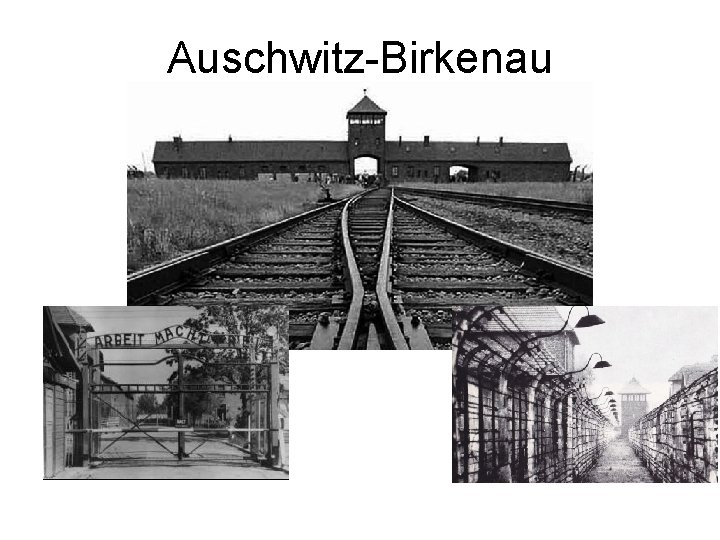 Auschwitz-Birkenau 