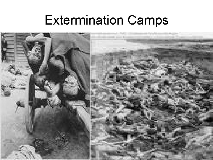Extermination Camps 