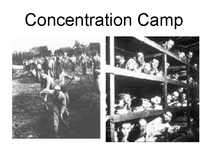 Concentration Camp 