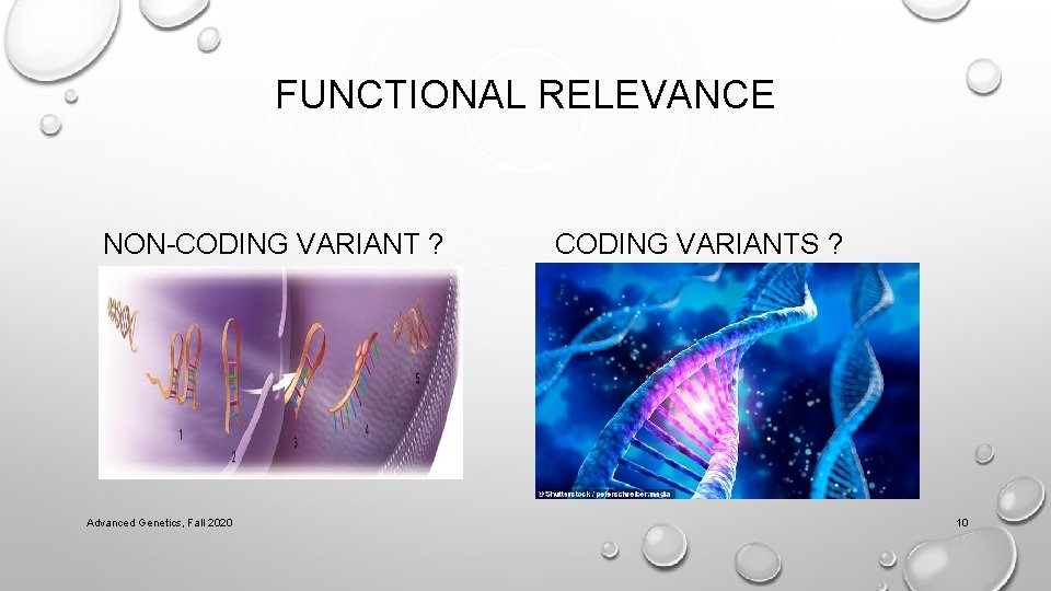 FUNCTIONAL RELEVANCE NON-CODING VARIANT ? Advanced Genetics, Fall 2020 CODING VARIANTS ? 10 