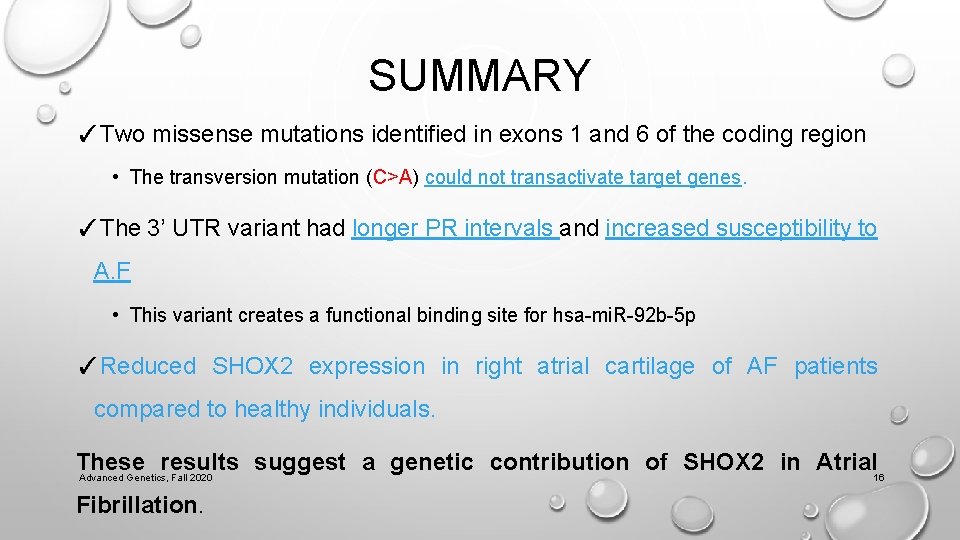 SUMMARY ✓Two missense mutations identified in exons 1 and 6 of the coding region