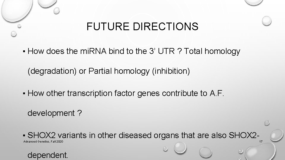 FUTURE DIRECTIONS ▪ How does the mi. RNA bind to the 3’ UTR ?