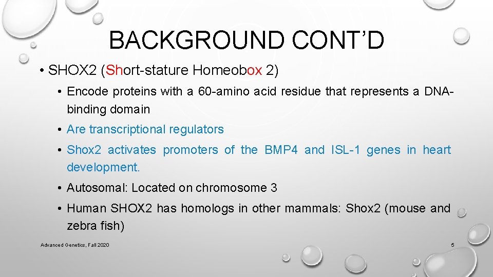 BACKGROUND CONT’D • SHOX 2 (Short-stature Homeobox 2) • Encode proteins with a 60