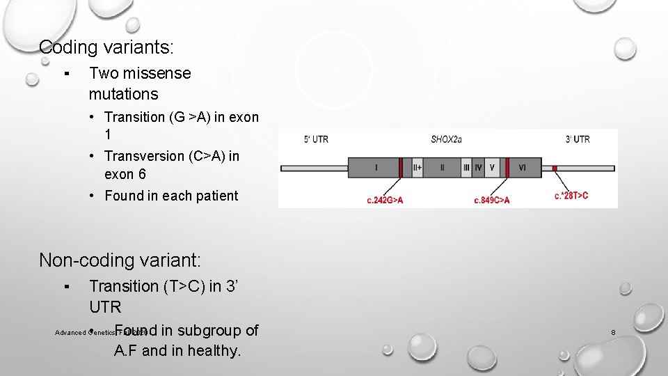 Coding variants: ▪ Two missense mutations • Transition (G >A) in exon 1 •