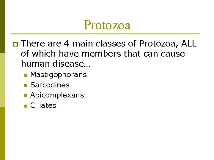 Protozoa p There are 4 main classes of Protozoa, ALL of which have members