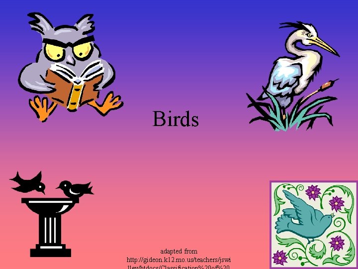 Birds adapted from http: //gideon. k 12. mo. us/teachers/jswi 
