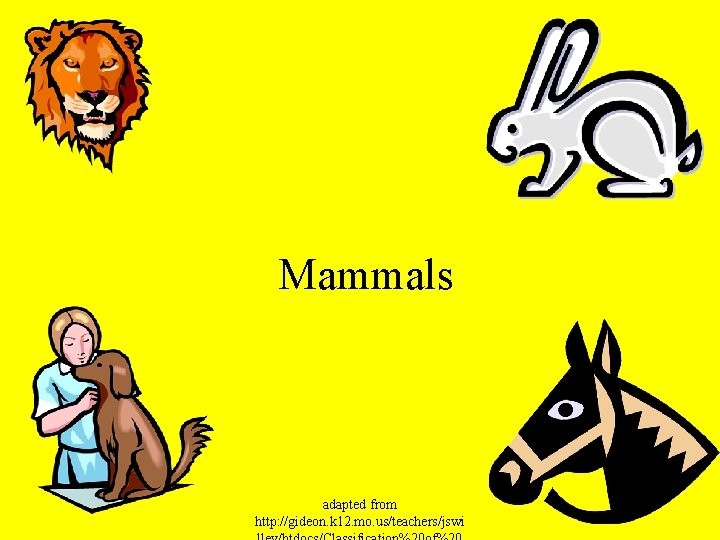 Mammals adapted from http: //gideon. k 12. mo. us/teachers/jswi 