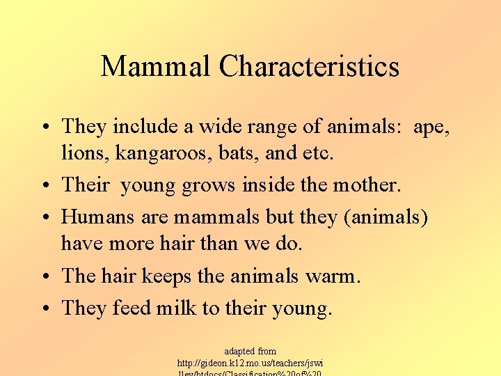 Mammal Characteristics • They include a wide range of animals: ape, lions, kangaroos, bats,