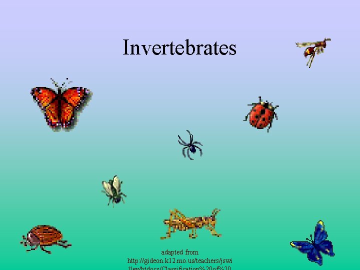Invertebrates adapted from http: //gideon. k 12. mo. us/teachers/jswi 