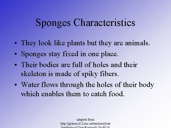 Sponges Characteristics • They look like plants but they are animals. • Sponges stay