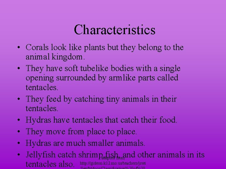 Characteristics • Corals look like plants but they belong to the animal kingdom. •