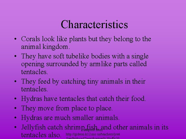 Characteristics • Corals look like plants but they belong to the animal kingdom. •
