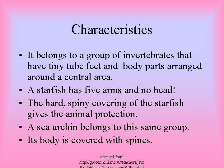 Characteristics • It belongs to a group of invertebrates that have tiny tube feet