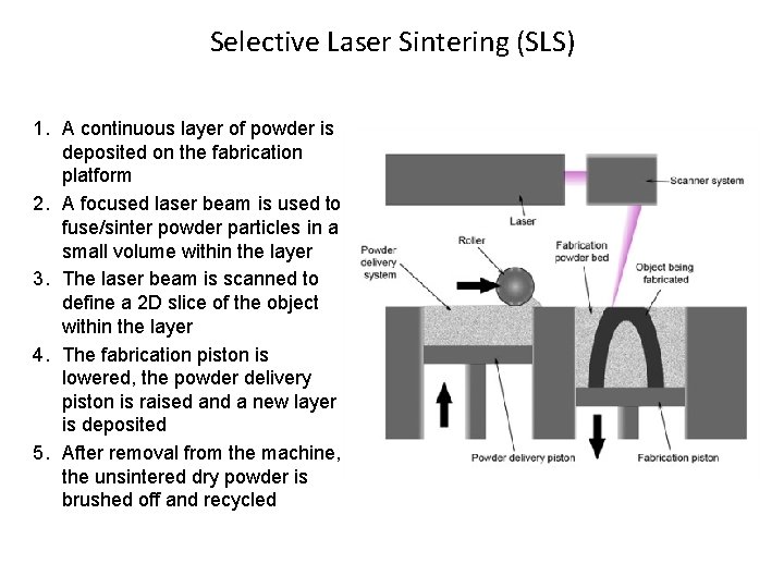 Selective Laser Sintering (SLS) 1. A continuous layer of powder is deposited on the