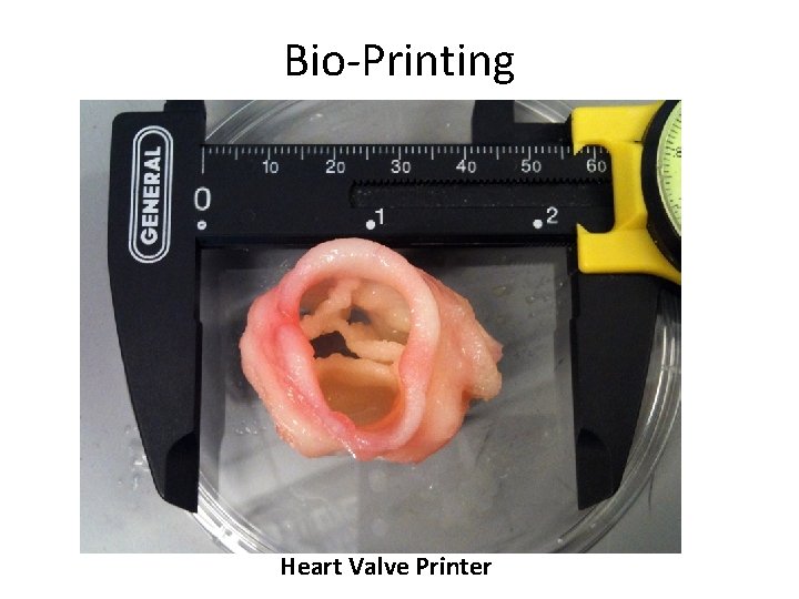 Bio-Printing Heart Valve Printer 