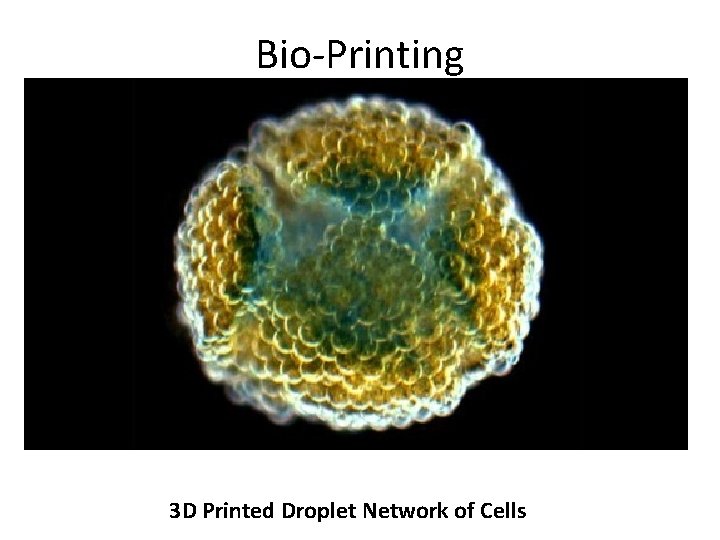 Bio-Printing 3 D Printed Droplet Network of Cells 