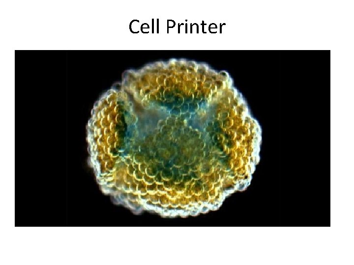 Cell Printer 
