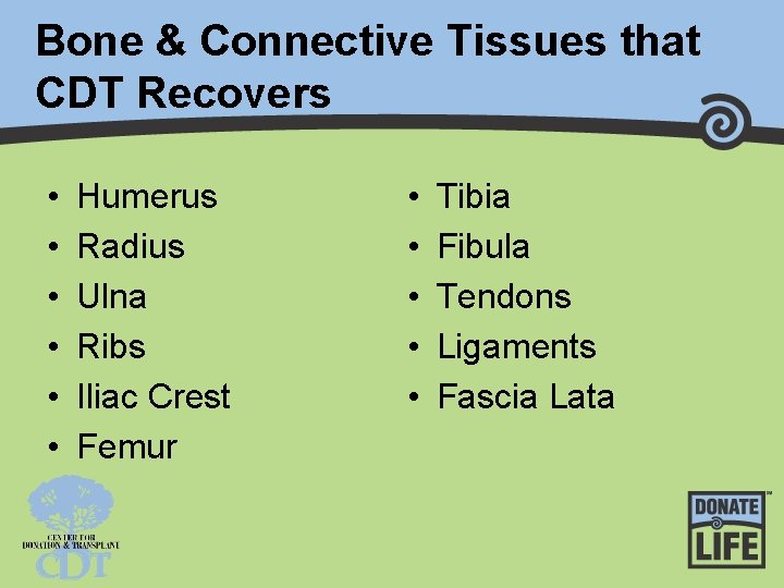 Bone & Connective Tissues that CDT Recovers • • • Humerus Radius Ulna Ribs