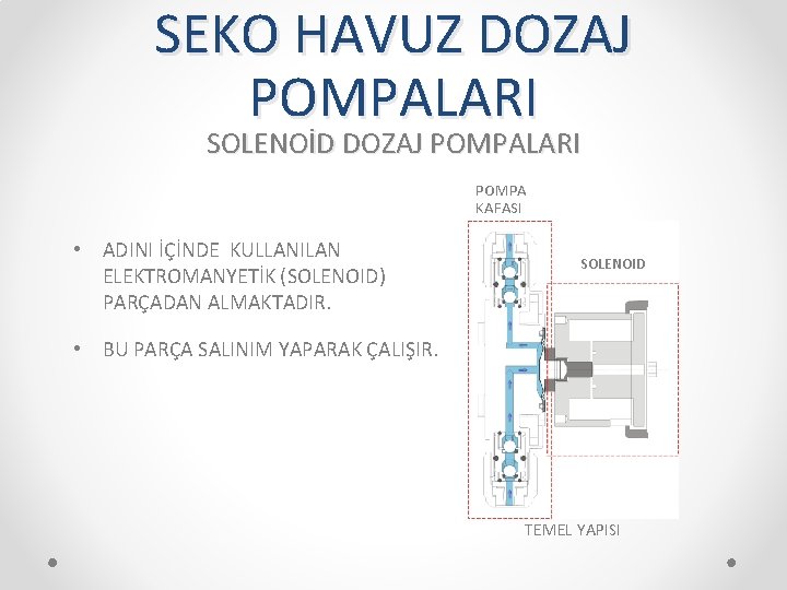 SEKO HAVUZ DOZAJ POMPALARI SOLENOİD DOZAJ POMPALARI POMPA KAFASI • ADINI İÇİNDE KULLANILAN ELEKTROMANYETİK