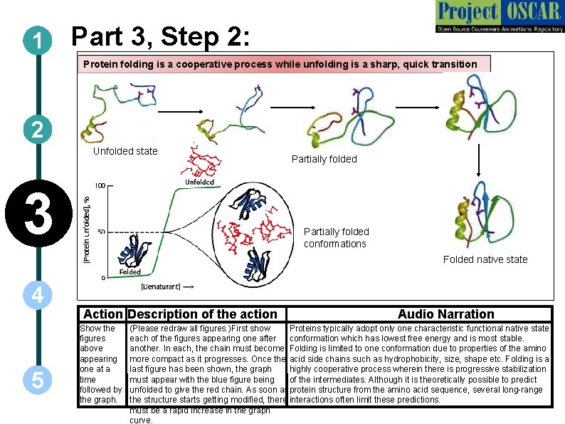 1 Part 3, Step 2: Protein folding is a cooperative process while unfolding is