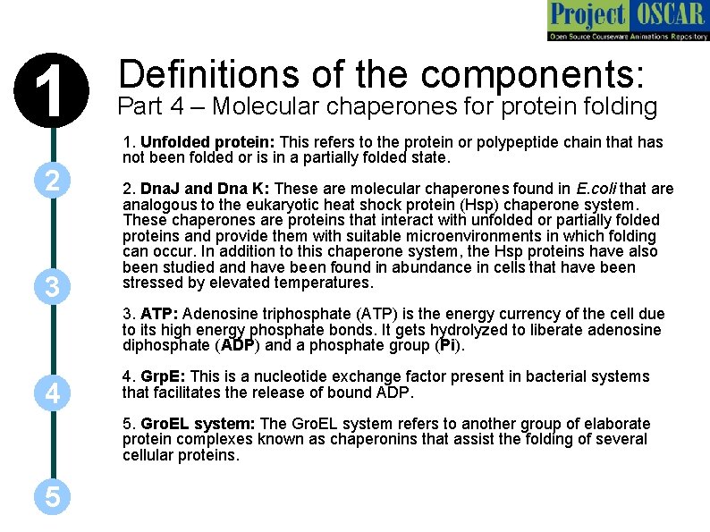 1 2 3 Definitions of the components: Part 4 – Molecular chaperones for protein