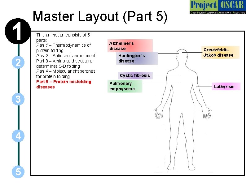 1 2 3 4 5 Master Layout (Part 5) This animation consists of 5