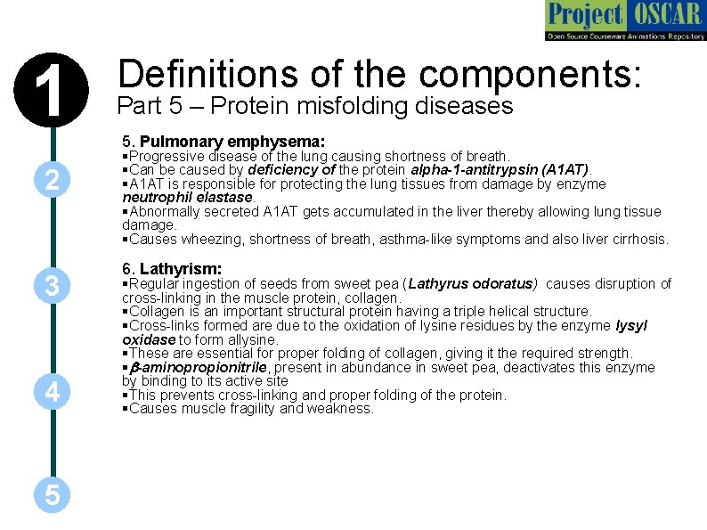 1 Definitions of the components: Part 5 – Protein misfolding diseases 5. Pulmonary emphysema: