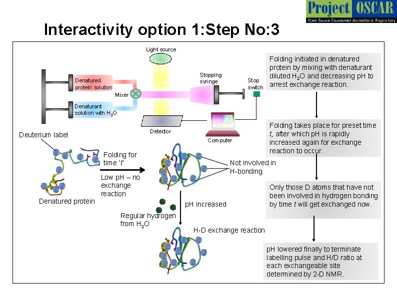 Interactivity option 1: Step No: 3 Light source Stopping syringe Denatured protein solution Stop