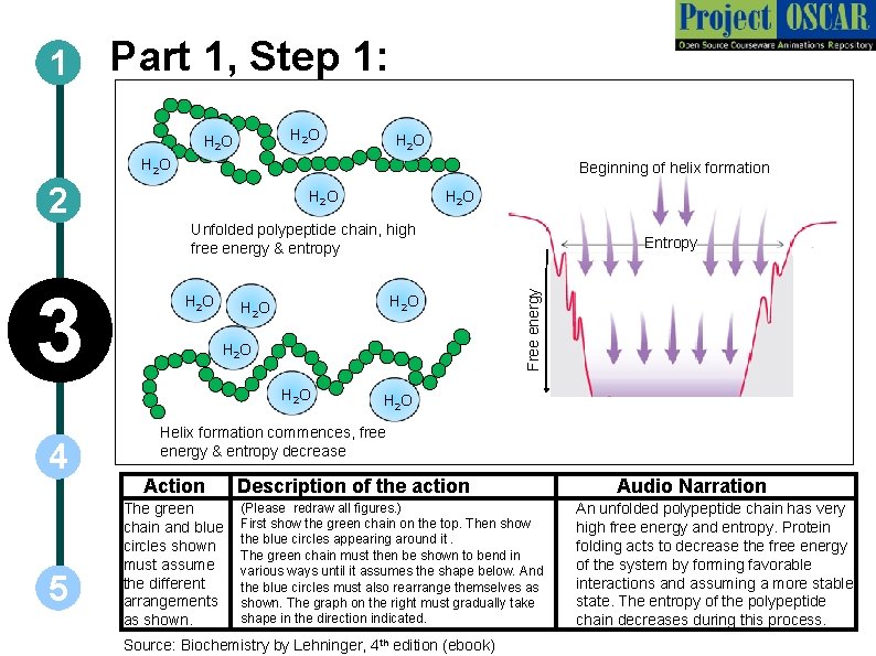 1 Part 1, Step 1: H 2 O Beginning of helix formation 2 H