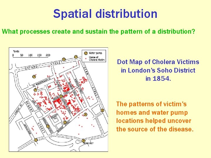 Spatial distribution What processes create and sustain the pattern of a distribution? Dot Map