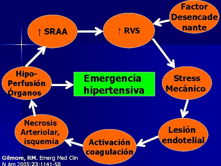 ↑ SRAA Hipo. Perfusión Órganos Necrosis Arteriolar, isquemia Gilmore, RM. Emerg Med Clin ↑ ↑ SRAA Hipo. Perfusión Órganos Necrosis Arteriolar, isquemia Gilmore, RM. Emerg Med Clin ↑