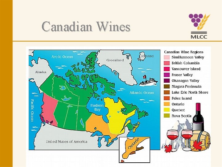 Canadian Wines 