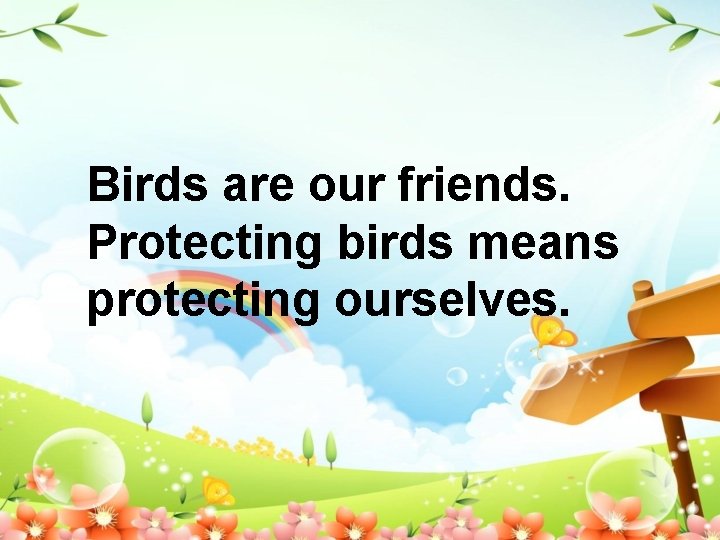 Birds are our friends. Protecting birds means protecting ourselves. 