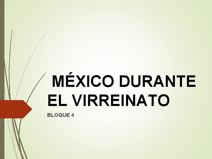 MÉXICO DURANTE EL VIRREINATO BLOQUE 4 