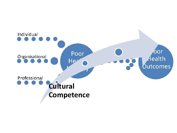 Individual Organisational Poor Health Literacy Professional Cultural Competence Poor Health Outcomes 